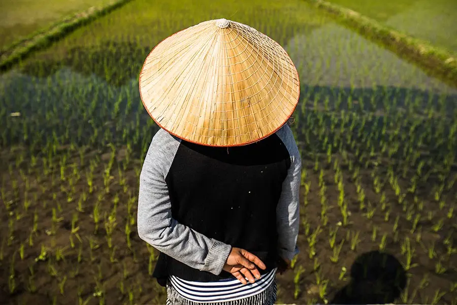 Conical Hat – A Piece of Vietnam