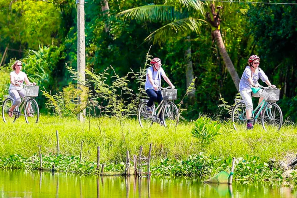 Đạp xe dạo quanh cồn