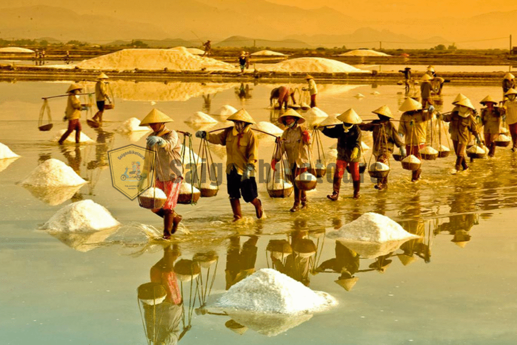 Người dân Cà Ná đang miệt mài gánh muối