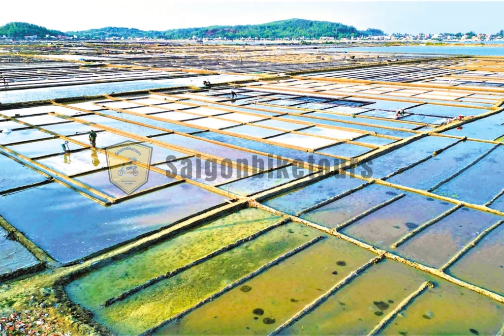 Cảnh bình minh tại đồng muối Sa Huỳnh