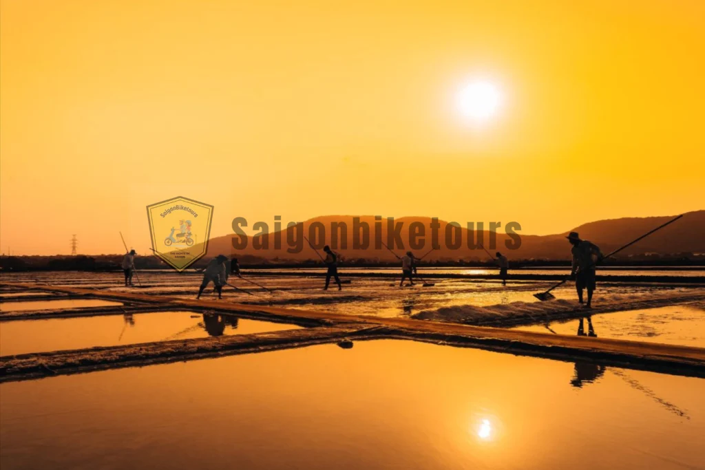 Đồng muối Sa Huỳnh vào chiều tà