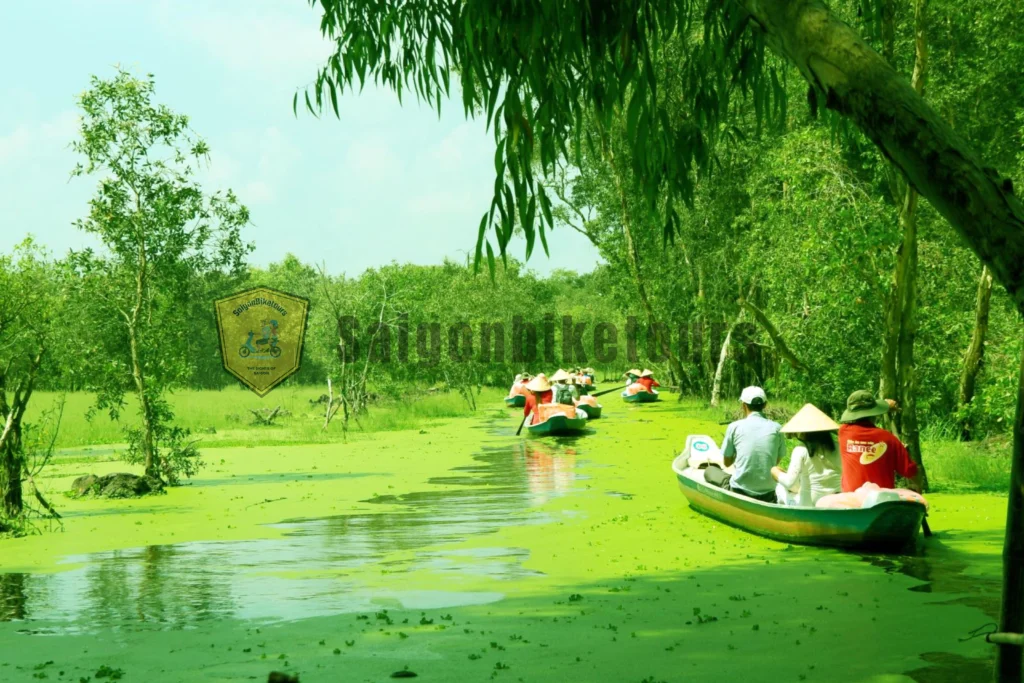 Chèo xuồng 3 lá trong các con rạch ở Mekong delta