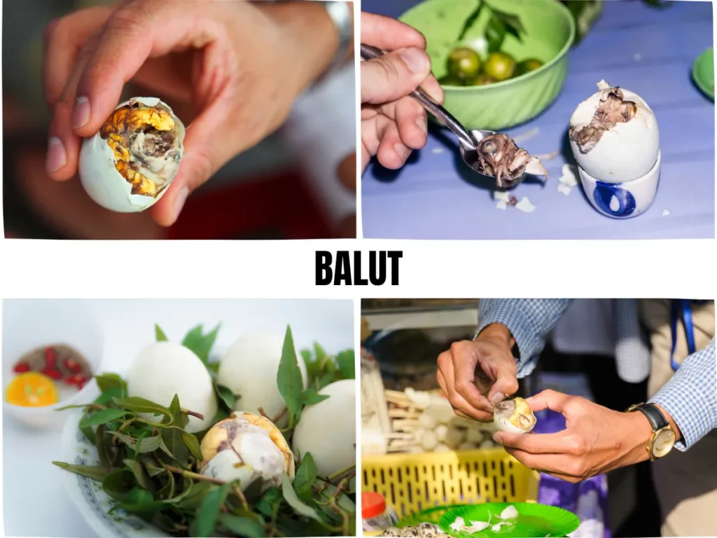 Balut Egg