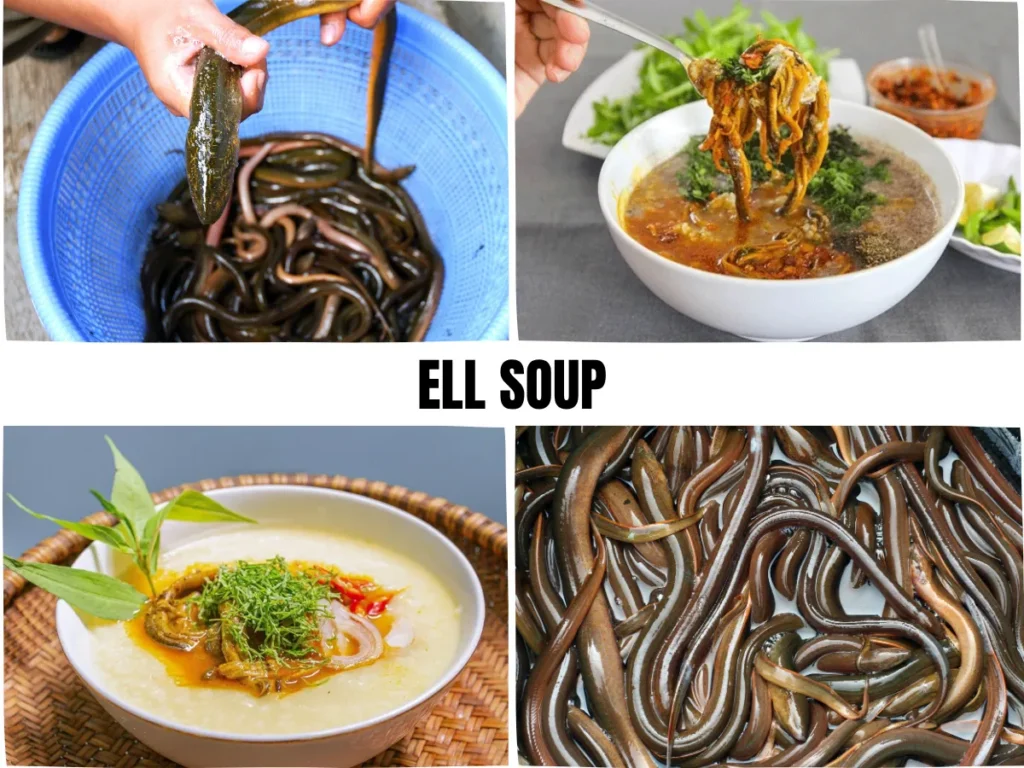Eel soup