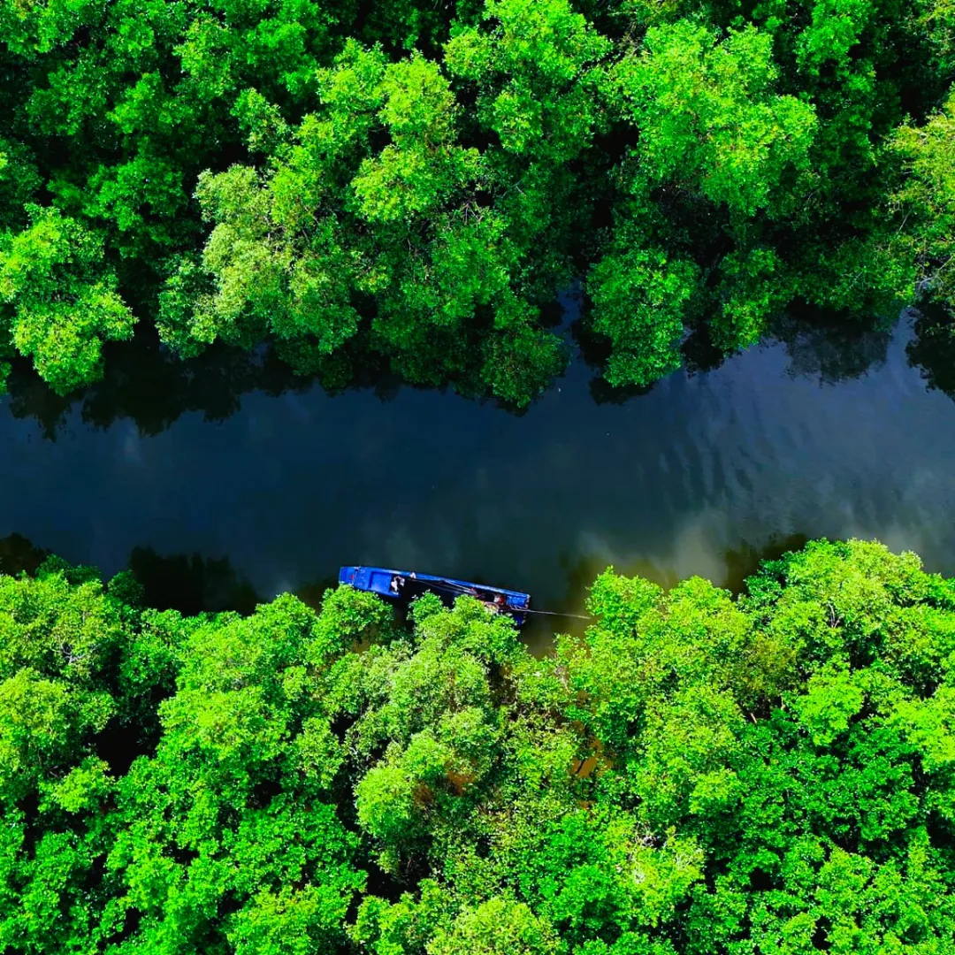 Tour Can Gio Mangrove Forest